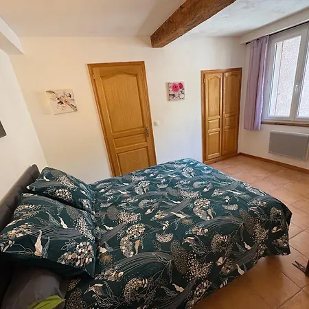 Duplex Centre 公寓 卡斯特拉讷